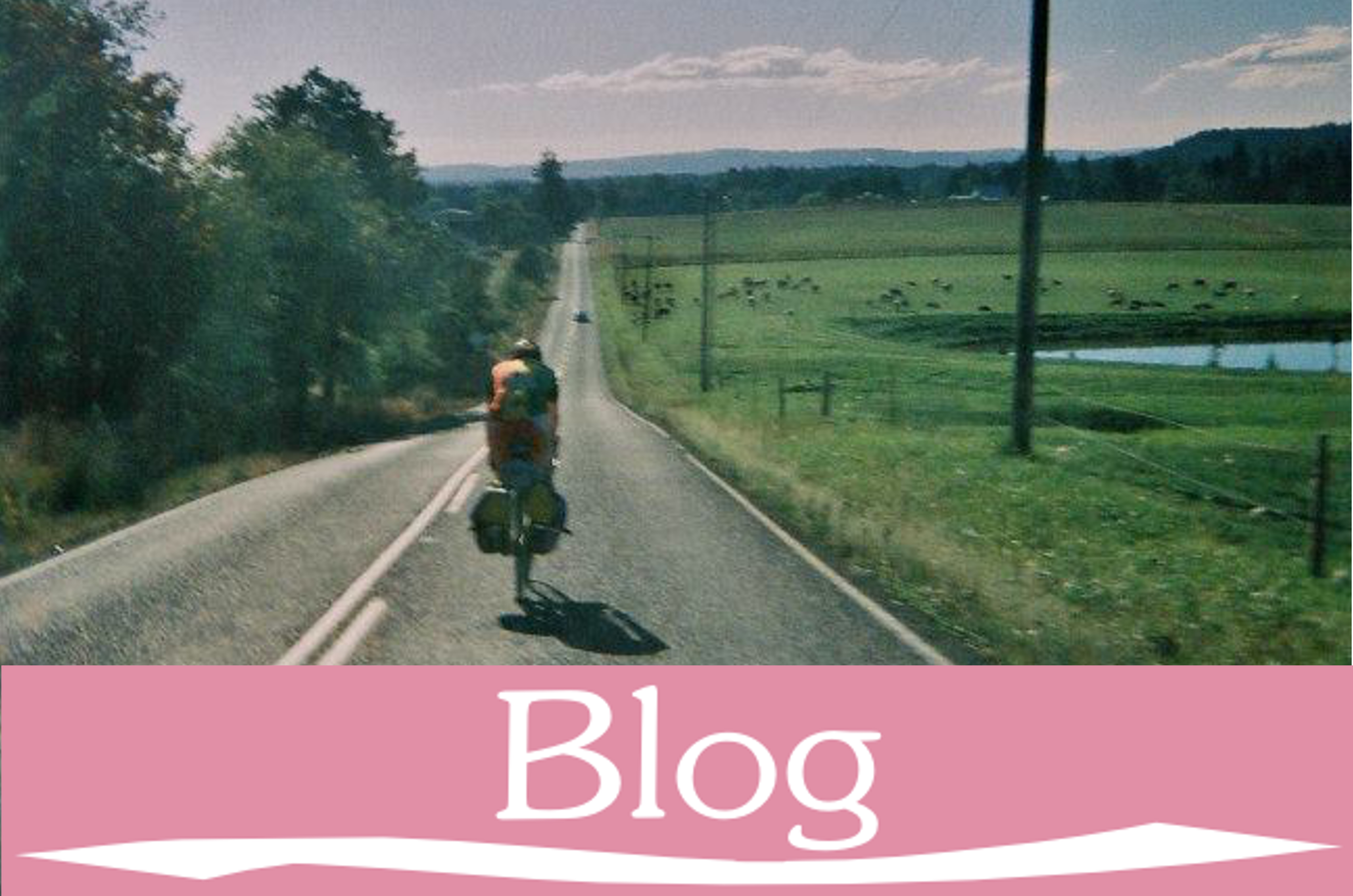 Blog